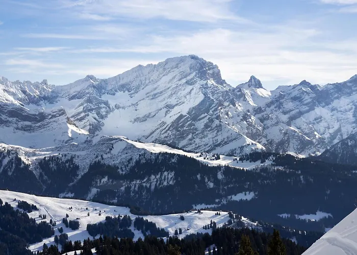 Diamant 6 By Interhome Villars-sur-Ollon