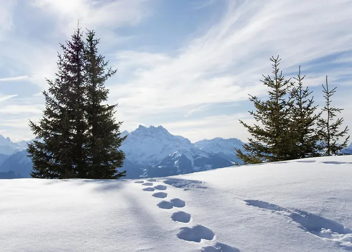 Diamant 6 By Interhome Apartment