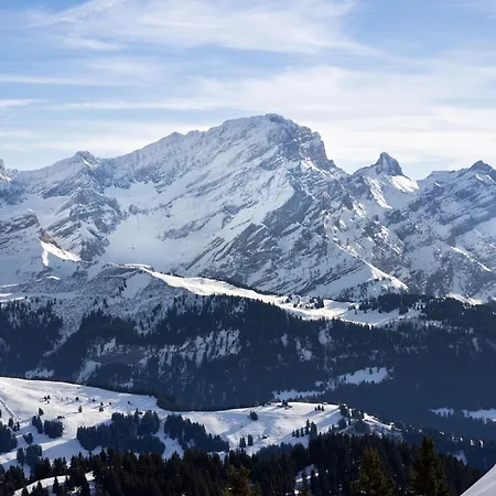 Diamant 6 By Interhome Villars-sur-Ollon